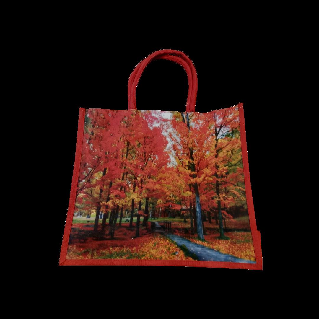 Canvas Bags